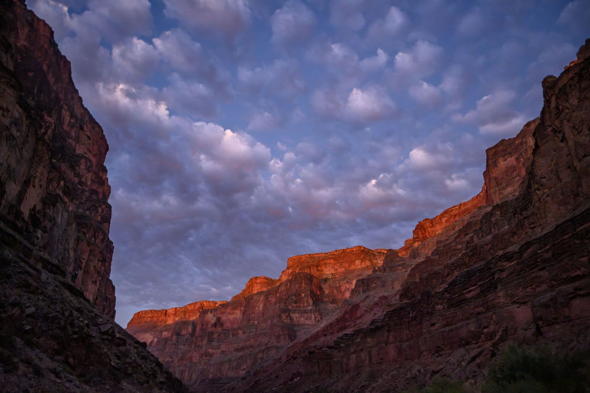Grand Canyon Fine Art (2 of 23)